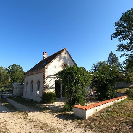 Chateau Des Nouies Villa Selles-sur-Cher Exterior foto