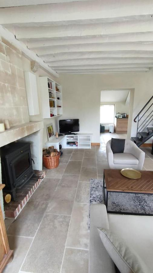 Chateau Des Nouies Villa Selles-sur-Cher Exterior foto