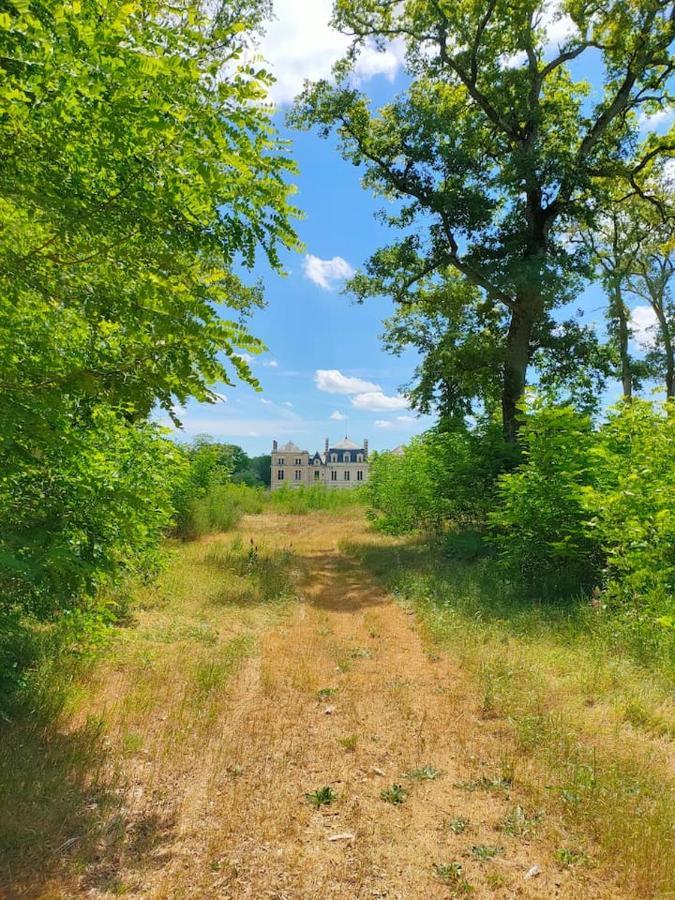 Chateau Des Nouies Villa Selles-sur-Cher Exterior foto